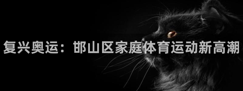 利记官网下载平台注册要钱吗是真的吗:复兴奥运:邯山区家庭体育